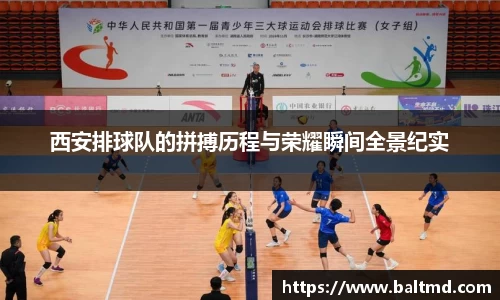 西安排球队的拼搏历程与荣耀瞬间全景纪实