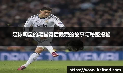 足球明星的黑猫背后隐藏的故事与秘密揭秘